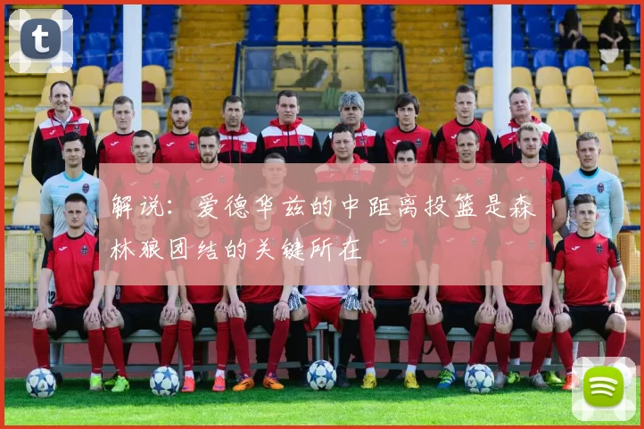 解说：爱德华兹的中距离投篮是森林狼团结的关键所在